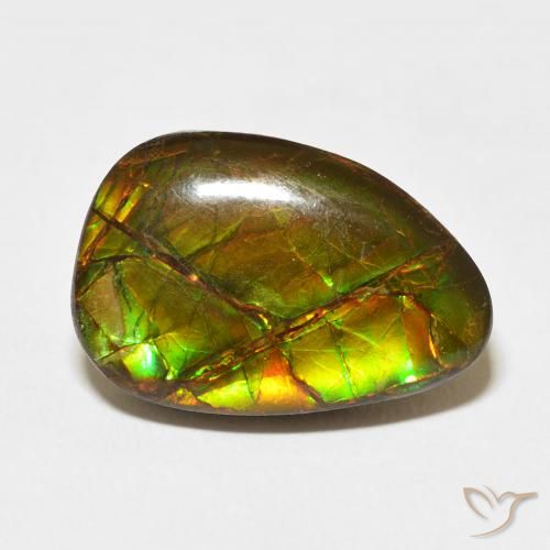 11.07ct Natural Multicolor Ammolite, Fancy, Opaque