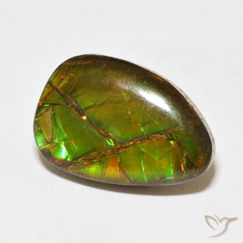 11.07 ct Multicolor Ammolite Stone, Natural Ammolite in Fancy Cabochon Shape for Sale