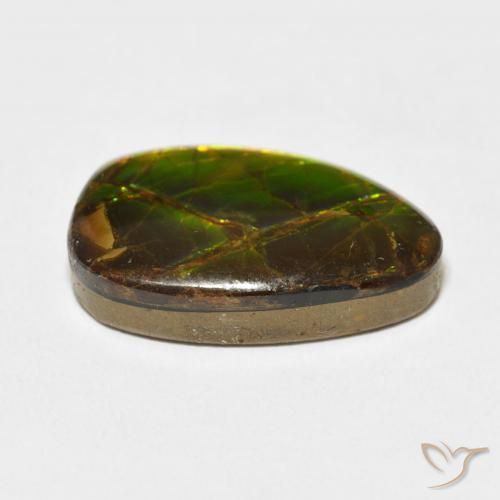 Ammolite Gemstone in 19.9 x 13.3 mm Size for Sale, Ammolite Stone in Multicolor Color