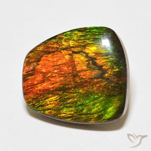 11.47 ct Multicolor Ammolite Stone, Natural Ammolite in Fancy Cabochon Shape for Sale
