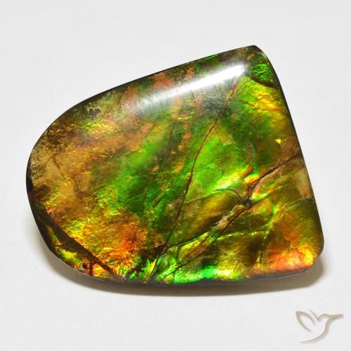 20.38ct Natural Multicolor Ammolite, Fancy, Opaque