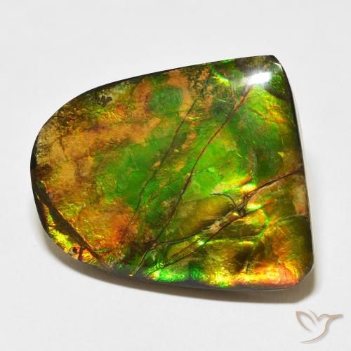 20.38 ct Multicolor Ammolite Stone, Natural Ammolite in Fancy Cabochon Shape for Sale