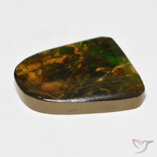 Ammolite Gemstone in 23.8 x 20.1 mm Size for Sale, Ammolite Stone in Multicolor Color
