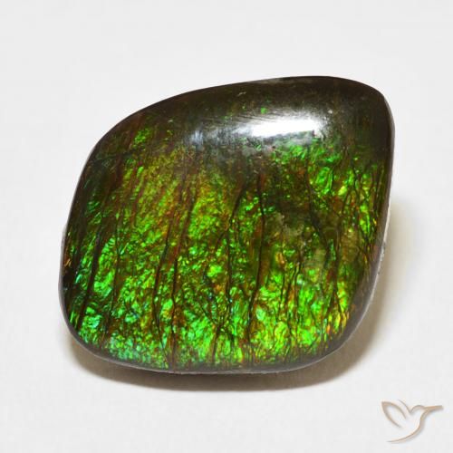 10.62ct Natural Multicolor Ammolite, Fancy, Opaque