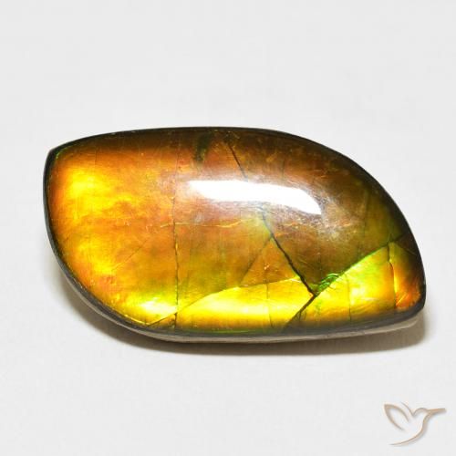 14.45ct Natural Multicolor Ammolite, Fancy, Opaque