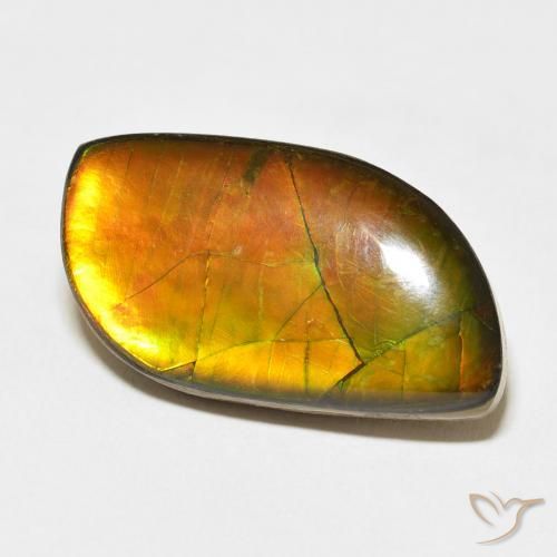 14.45 ct Multicolor Ammolite Stone, Natural Ammolite in Fancy Cabochon Shape for Sale