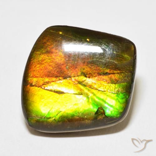 13.63ct Natural Multicolor Ammolite, Fancy, Opaque