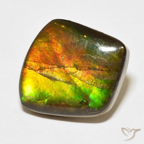 13.63 ct Multicolor Ammolite Stone, Natural Ammolite in Fancy Cabochon Shape for Sale