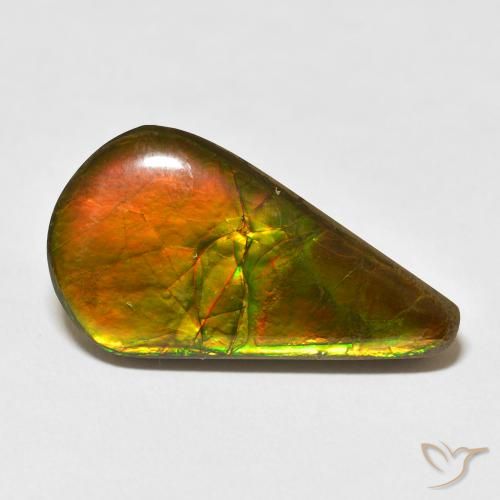 16.88ct Natural Multicolor Ammolite, Pear Shape, Opaque