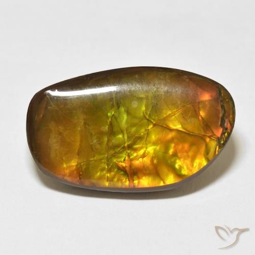 17.48ct Natural Multicolor Ammolite, Fancy, Opaque