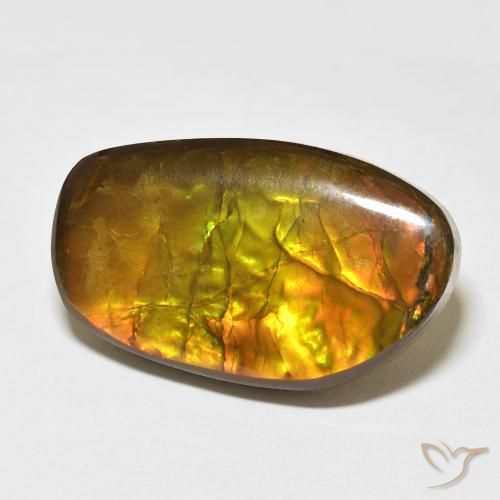 17.48 ct Multicolor Ammolite Stone, Natural Ammolite in Fancy Cabochon Shape for Sale