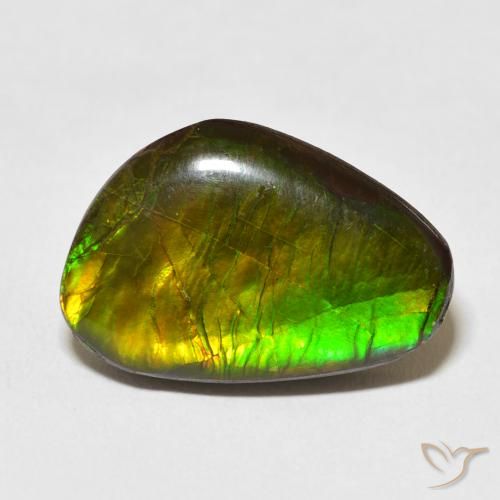 13.79ct Natural Multicolor Ammolite, Fancy, Opaque