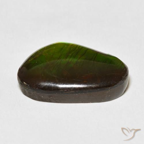 Ammolite Gemstone in 20.7 x 13.9 mm Size for Sale, Ammolite Stone in Multicolor Color