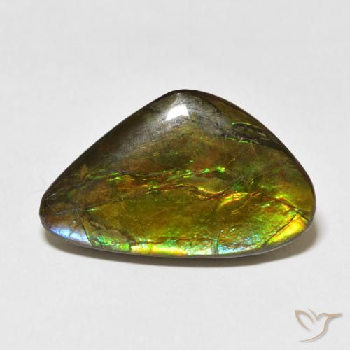 13.60ct Natural Multicolor Ammolite, Fancy, Opaque
