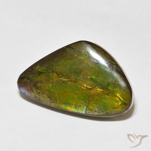 13.60 ct Multicolor Ammolite Stone, Natural Ammolite in Fancy Cabochon Shape for Sale