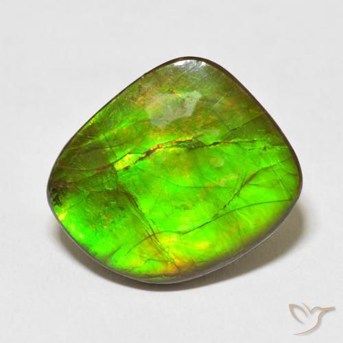 10.95ct Natural Multicolor Ammolite, Fancy, Opaque