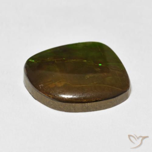 Ammolite Gemstone in 18 x 15.9 mm Size for Sale, Ammolite Stone in Multicolor Color