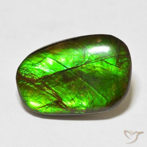 13.96ct Natural Multicolor Ammolite, Fancy, Opaque