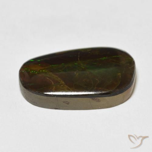 Ammolite Gemstone in 22 x 14.8 mm Size for Sale, Ammolite Stone in Multicolor Color