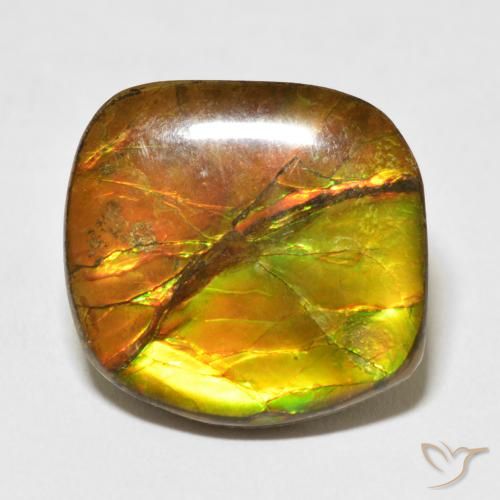 15.37ct Natural Multicolor Ammolite, Fancy, Opaque