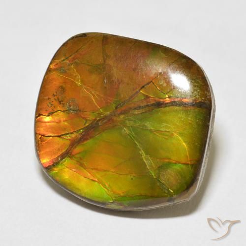 15.37 ct Multicolor Ammolite Stone, Natural Ammolite in Fancy Cabochon Shape for Sale