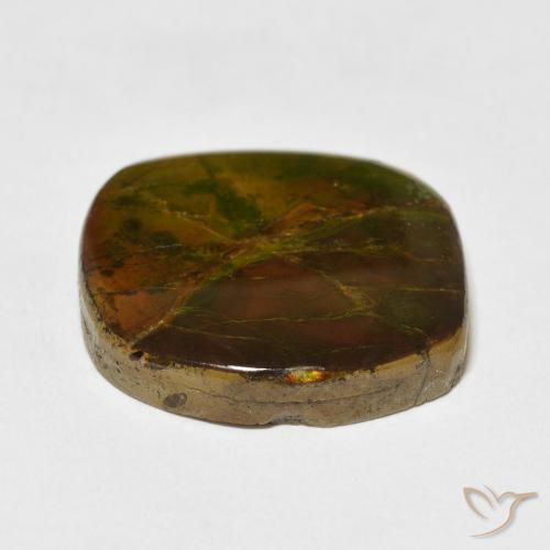 Ammolite Gemstone in 19.9 x 19 mm Size for Sale, Ammolite Stone in Multicolor Color