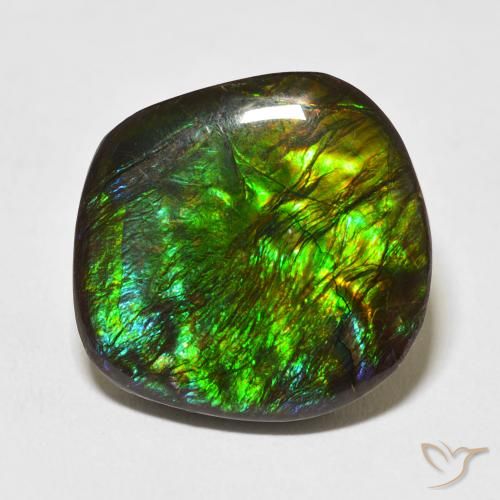 17.53ct Natural Multicolor Ammolite, Fancy, Opaque