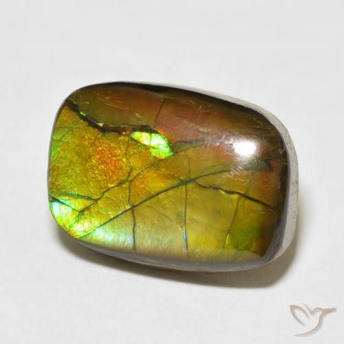 13.68 ct Multicolor Ammolite Stone, Natural Ammolite in Fancy Cabochon Shape for Sale