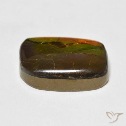 Ammolite Gemstone in 18.5 x 13.8 mm Size for Sale, Ammolite Stone in Multicolor Color