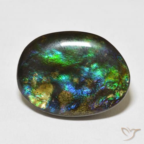 15.59ct Natural Multicolor Ammolite, Fancy, Opaque