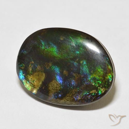 15.59 ct Multicolor Ammolite Stone, Natural Ammolite in Fancy Cabochon Shape for Sale