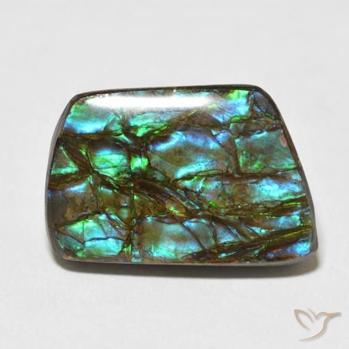 13.92ct Natural Multicolor Ammolite, Fancy, Opaque