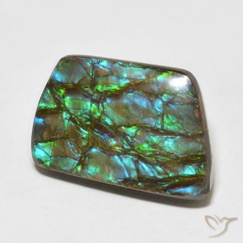 13.92 ct Multicolor Ammolite Stone, Natural Ammolite in Fancy Cabochon Shape for Sale