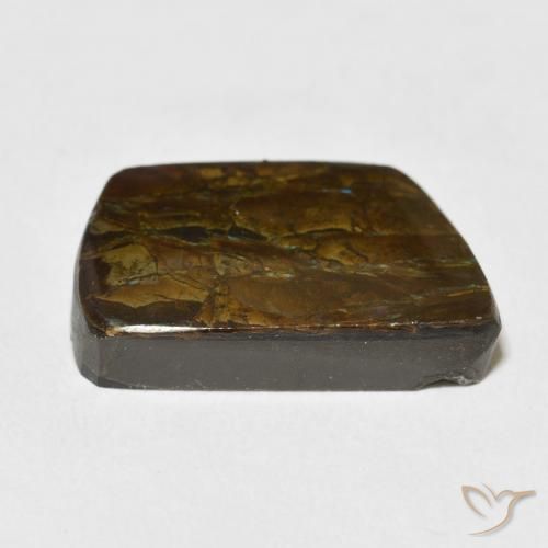 Ammolite Gemstone in 20.7 x 13.7 mm Size for Sale, Ammolite Stone in Multicolor Color