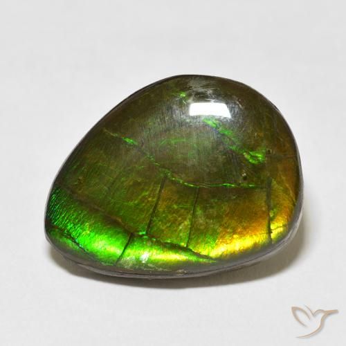 13.55ct Natural Multicolor Ammolite, Fancy, Opaque