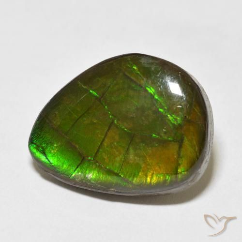 13.55 ct Multicolor Ammolite Stone, Natural Ammolite in Fancy Cabochon Shape for Sale