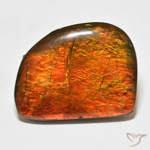 21.11ct Natural Multicolor Ammolite, Fancy, Opaque