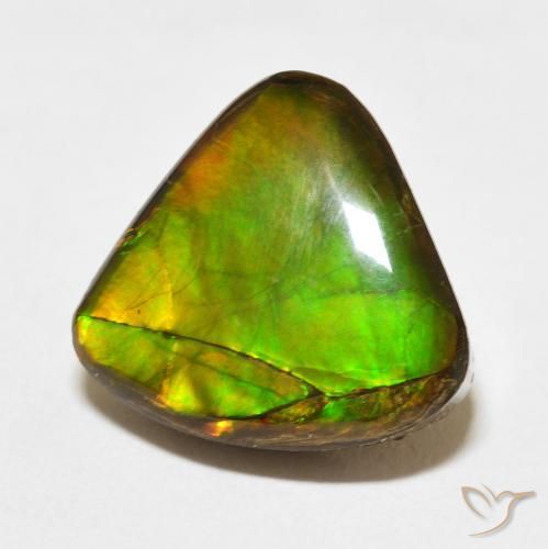 10.86 ct Multicolor Ammolite Stone, Natural Ammolite in Trillion Cabochon Shape for Sale