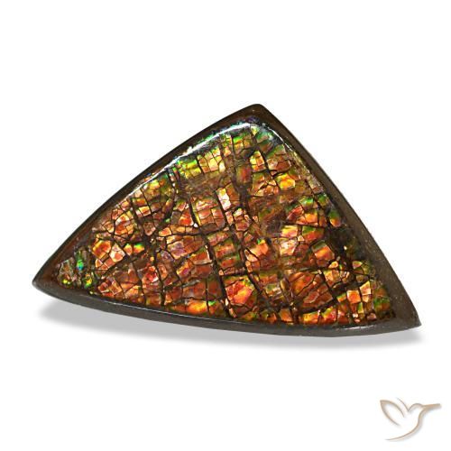 6.33 ct Multicolor Ammolite Stone, Natural Ammolite in Trillion Cabochon Shape for Sale