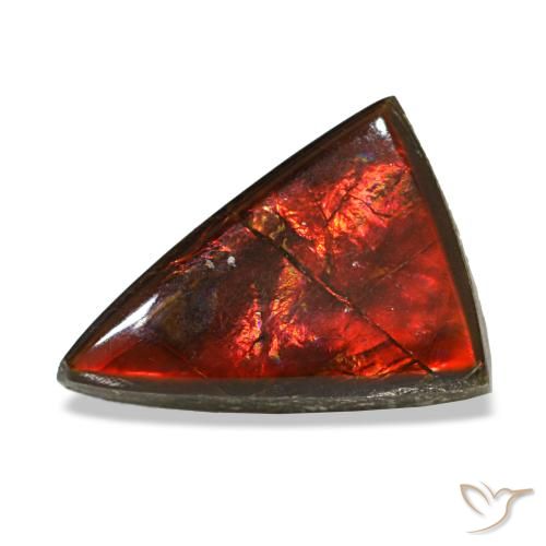 3.12 ct Multicolor Ammolite Gemstone, Ammolite Gem in Trillion Cabochon Shape for Sale.