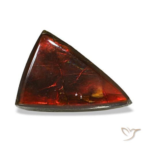 3.12 ct Multicolor Ammolite Stone, Natural Ammolite in Trillion Cabochon Shape for Sale