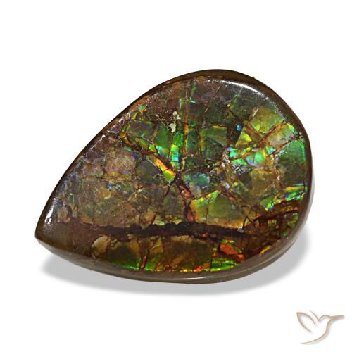 6.06 ct Multicolor Ammolite Gemstone, Ammolite Gem in Pear Cabochon Shape for Sale.