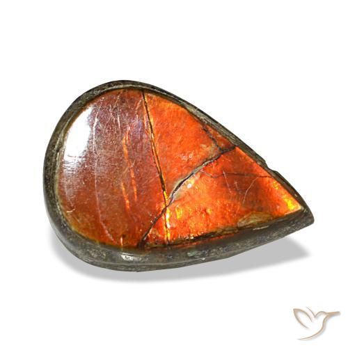 1.81 ct Multicolor Ammolite Stone, Natural Ammolite in Pear Cabochon Shape for Sale