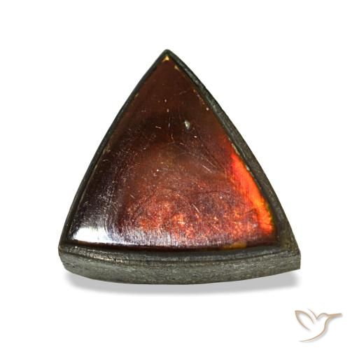 1.53 ct Multicolor Ammolite Gemstone, Ammolite Gem in Trillion Cabochon Shape for Sale.