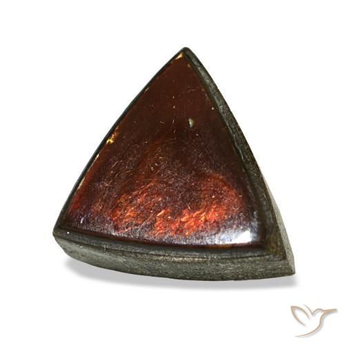 1.53 ct Multicolor Ammolite Stone, Natural Ammolite in Trillion Cabochon Shape for Sale