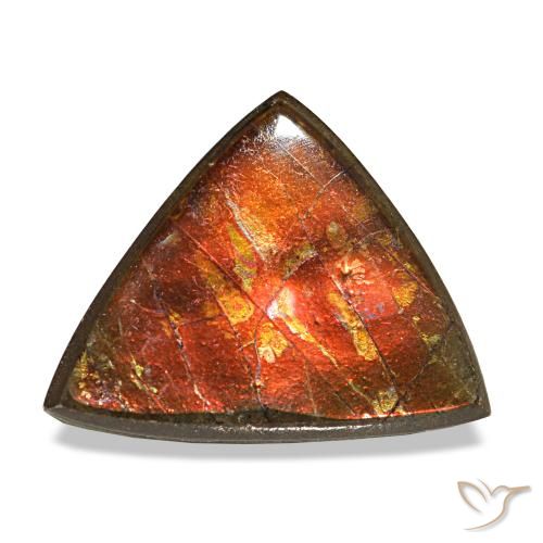 3.33 ct Multicolor Ammolite Gemstone, Ammolite Gem in Trillion Cabochon Shape for Sale.