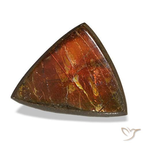 3.33 ct Multicolor Ammolite Stone, Natural Ammolite in Trillion Cabochon Shape for Sale