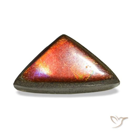1.47ct Multicolor Ammolite, Trillion, Opaque