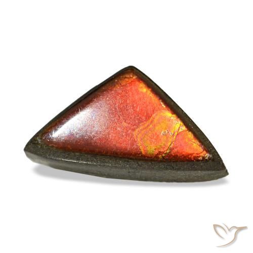 1.47 ct Multicolor Ammolite Stone, Natural Ammolite in Trillion Cabochon Shape for Sale