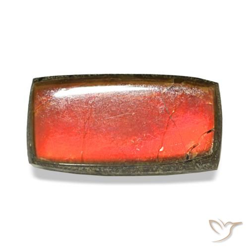 1.51 ct Multicolor Ammolite Gemstone, Ammolite Gem in Baguette Cabochon Shape for Sale.